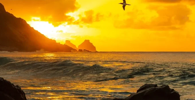 Alta Gastronomia de Fernando de Noronha Chega ao Rio com Show Cooking de Zé Maria