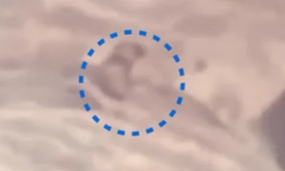 Bombeiros Realizam Resgate Dramático de Cachorro Cego e Surdo Preso em Cascata na Serra Fluminense