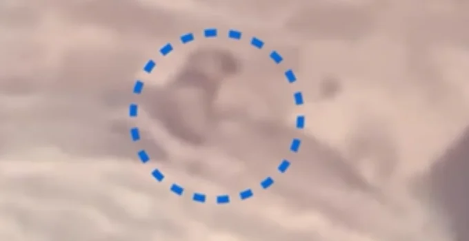 Bombeiros Realizam Resgate Dramático de Cachorro Cego e Surdo Preso em Cascata na Serra Fluminense