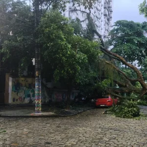 Chuva Forte Causa Estragos no Rio: Alagamentos, Quedas de Árvores e Deslizamentos; Estado em Alerta Vermelho