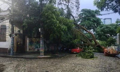 Chuva Forte Causa Estragos no Rio: Alagamentos, Quedas de Árvores e Deslizamentos; Estado em Alerta Vermelho