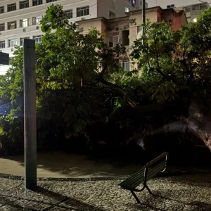 Queda de Árvore no Boulevard 28 de Setembro em Vila Isabel Causa Interrupção de Energia e Bloqueio de Via
