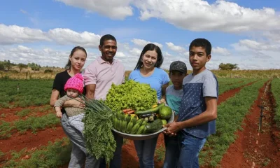 Política de Transição Agroecológica no Sul Fluminense Beneficiará 350 Famílias com Foco em Sustentabilidade e Mata Atlântica