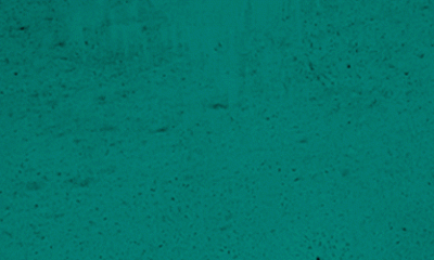 ONU Turismo convida Embratur para integrar Programa de Membros Afiliados e ampliar voz do Brasil no setor