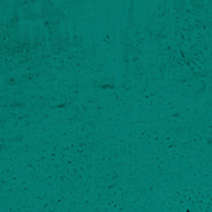 Mato Grosso do Sul e Foz do Iguaçu brilham na exposição Turismo do Amanhã, promovendo ecoturismo e belezas naturais