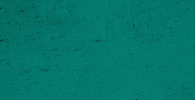 Mato Grosso do Sul e Foz do Iguaçu brilham na exposição Turismo do Amanhã, promovendo ecoturismo e belezas naturais