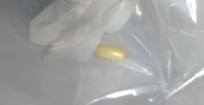 Passageiro é preso no Galeão com 23 cápsulas de cocaína no estômago ao tentar embarcar para Paris