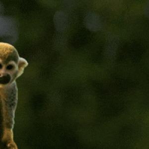 Gustavo Tutuca: Rio de Janeiro Retorna ao Palco Principal do Turismo Mundial com Metas Ambiciosas para 2026