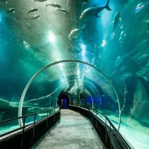 Visit Rio Cria Fundo Colaborativo com R$ 2 por Ingresso para Promover o Rio de Janeiro e Atrair Mais Turistas