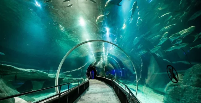 Visit Rio Cria Fundo Colaborativo com R$ 2 por Ingresso para Promover o Rio de Janeiro e Atrair Mais Turistas