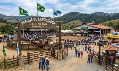 Cordeiro (RJ): Descubra a 'Cidade Exposição' com vida rural, comércio dinâmico e segurança na Serra Fluminense