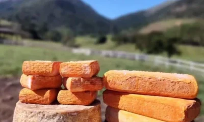 Região Serrana do Rio: Roteiros Gastronômicos que Vão Além da Cerveja com Queijos Premiados e Café Especial
