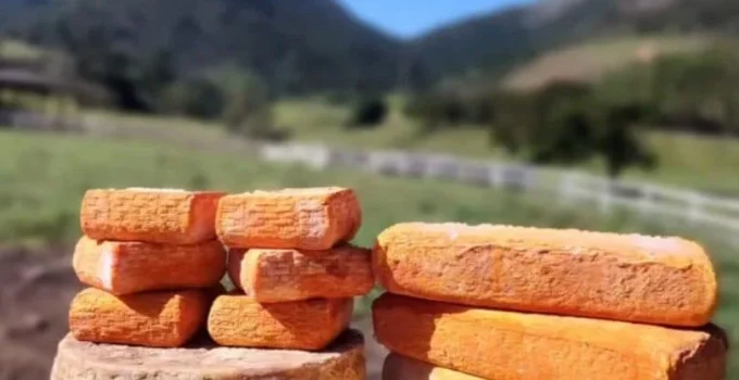 Região Serrana do Rio: Roteiros Gastronômicos que Vão Além da Cerveja com Queijos Premiados e Café Especial
