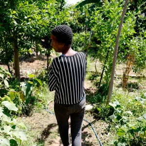 Horta Comunitária no Morro do Salgueiro: Memória, Cuidado e Cidadania Transformam Favela do Rio
