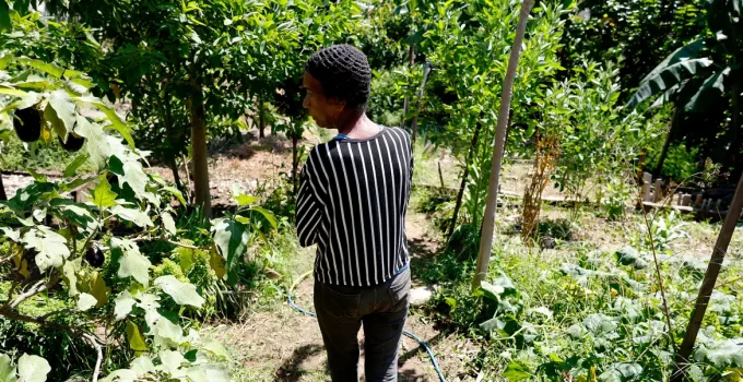 Horta Comunitária no Morro do Salgueiro: Memória, Cuidado e Cidadania Transformam Favela do Rio