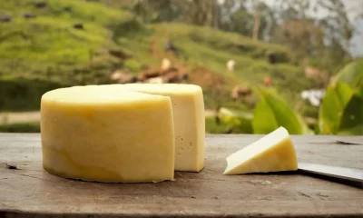 Rio de Janeiro inaugura Rota Queijeira na Serra Fluminense com foco em produção artesanal e turismo