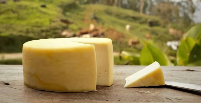 Rio de Janeiro inaugura Rota Queijeira na Serra Fluminense com foco em produção artesanal e turismo